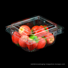 Clear Disposable Plastic Food Box Fruit Container Packaging